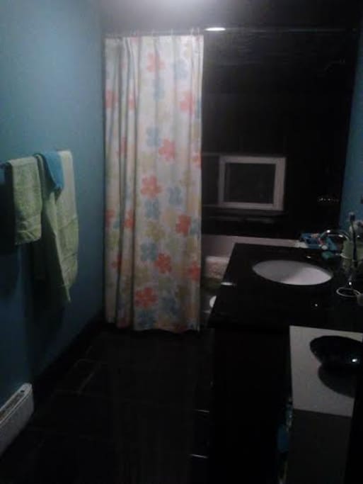 Modern bathroom with tub and shower