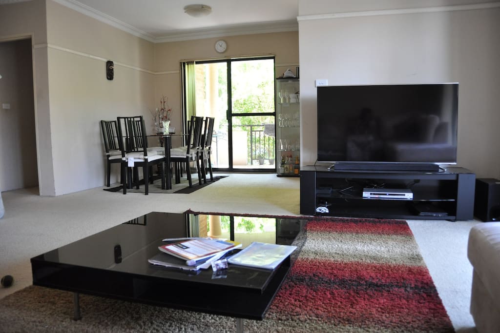 Living / Dining Area