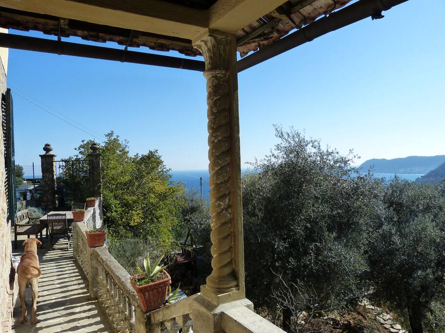 south facing patio with view