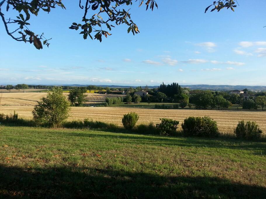 vue en été