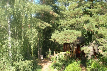 En pleine forêt, site atypique