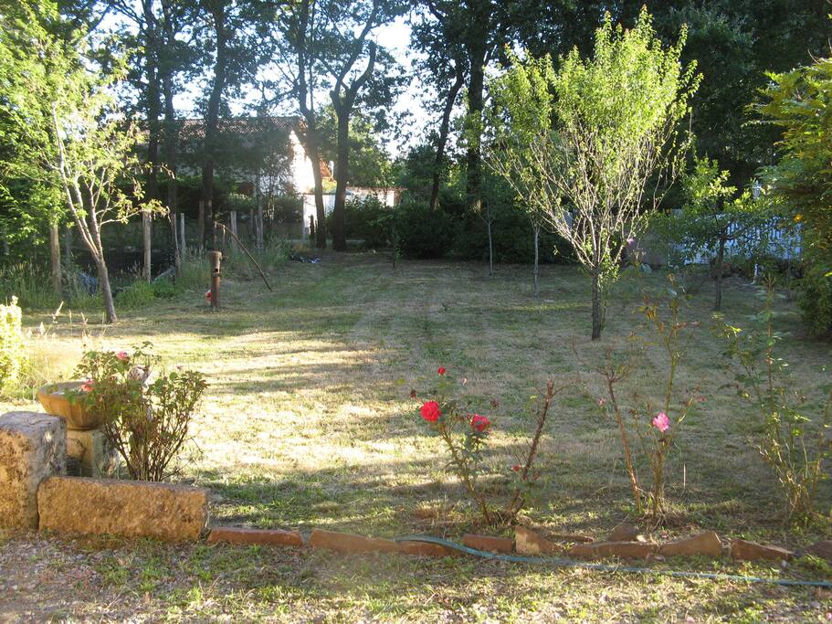 Jardin
