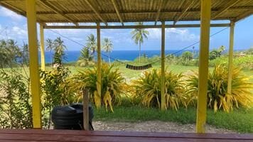 A covered deck features a hammock, inviting relaxation while gazing at the expansive ocean view. Lush green plants frame the area, complemented by swaying palm trees and a vibrant blue sky. The wood surface provides a sturdy base for gatherings.