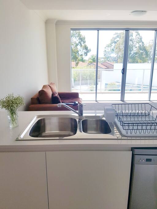 Open Kitchen and Living