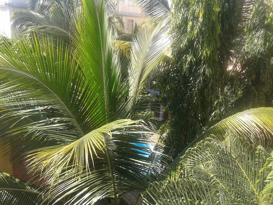 view from balcony