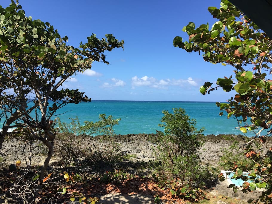 Waterfront house Jamaica cliffs Houses for Rent in Cousins Cove