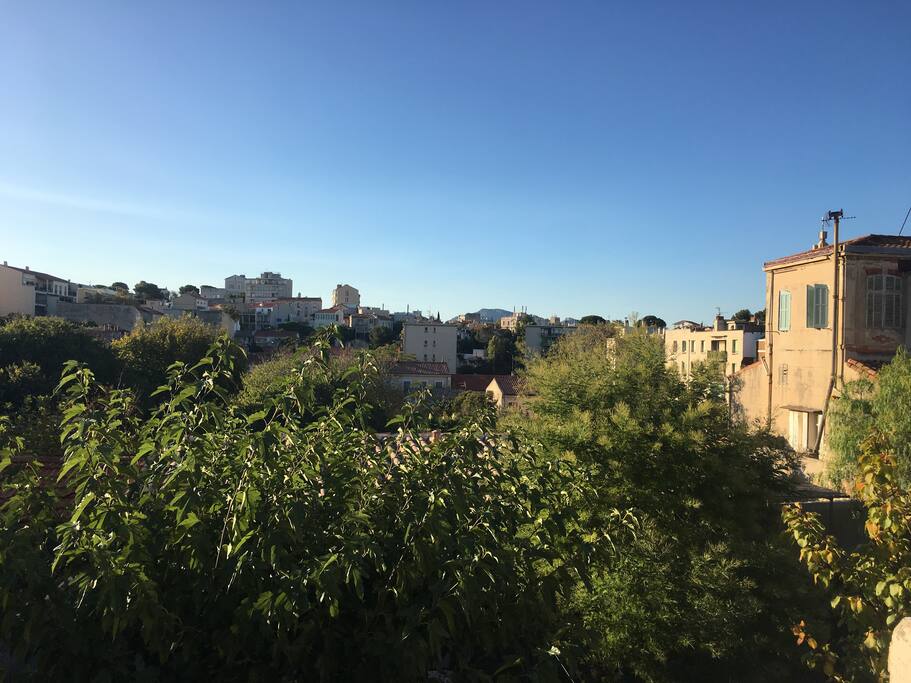 Vue dégagée depuis la terrasse (en été arbres feuillus)