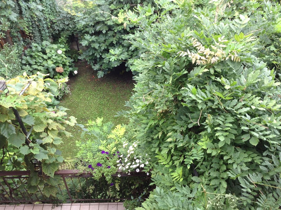 Il giardino...