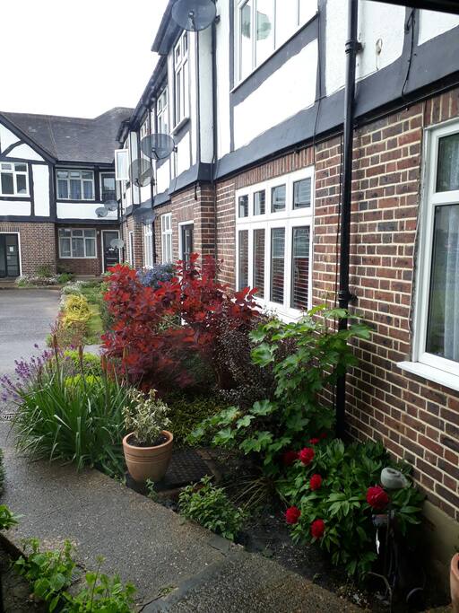 My little front garden. Sunny in the summer.