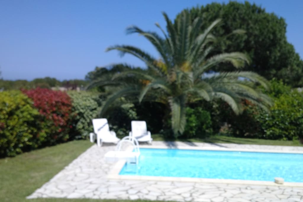 Votre piscine