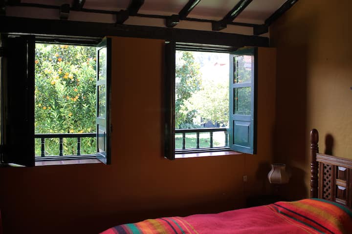 Прозорци, стая № 2