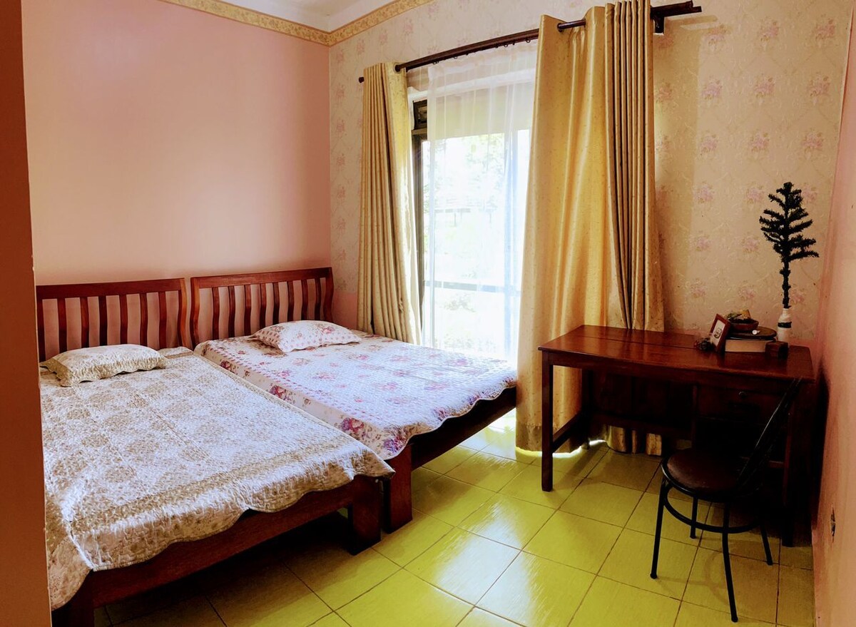 The room features two spacious beds with patterned bedding, positioned beside large windows dressed in light curtains. A wooden desk and a chair are situated against the wall, providing a functional workspace. Soft pink walls contribute to a calming atmosphere.