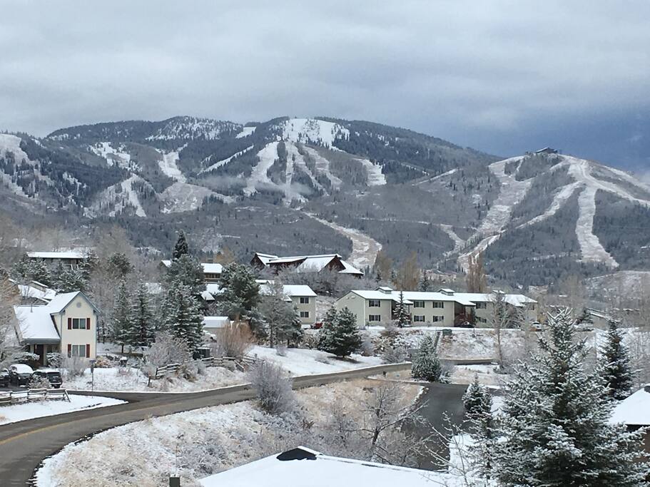 View from Master Bedroom