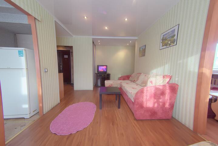 2 bedroom apartment in the city center.
