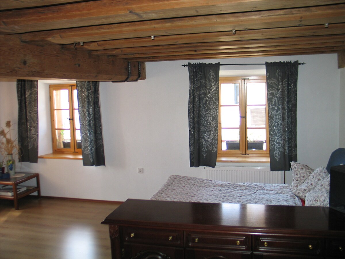 Dnevni boravak/spavaća soba