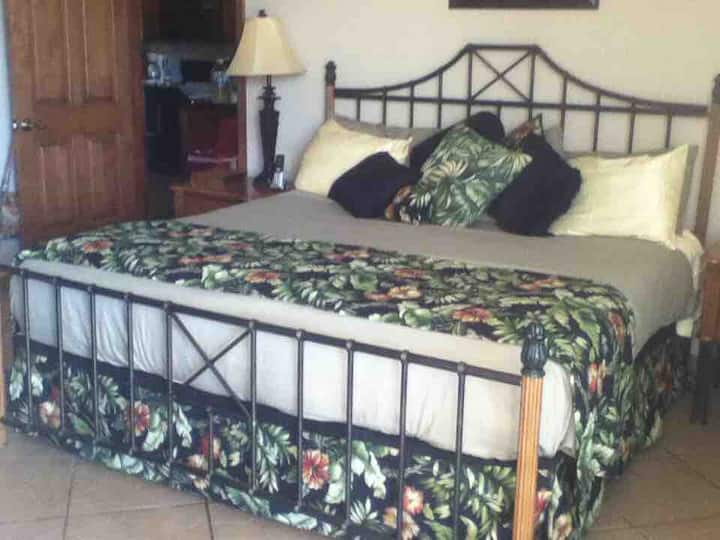 Დიდი მთავარი საძინებელი პატიოს კარით. 