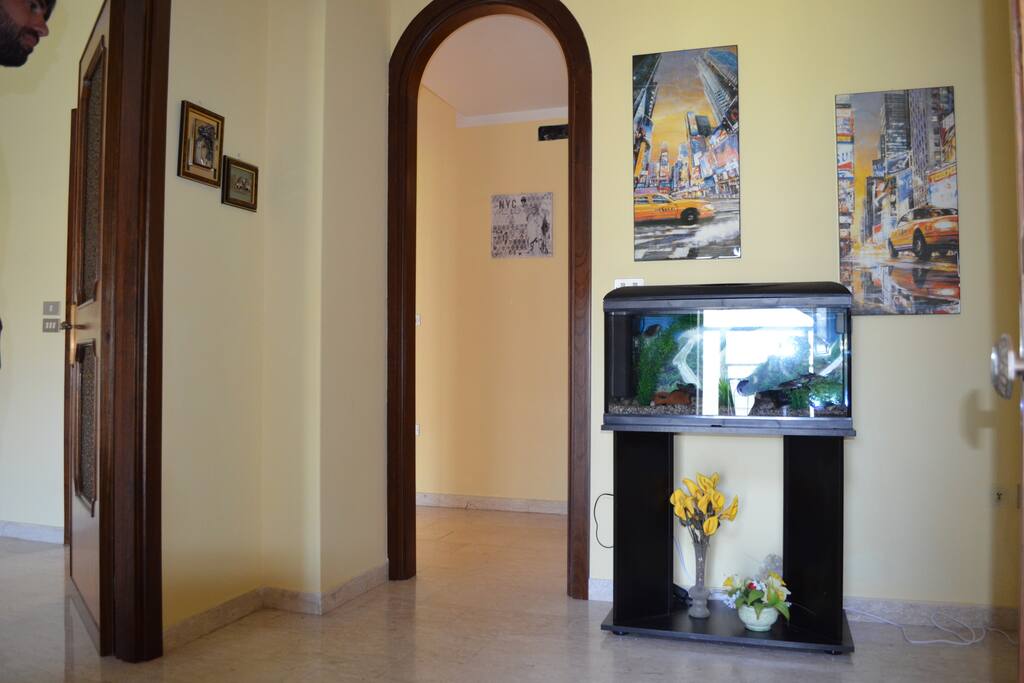Il nostro ingresso