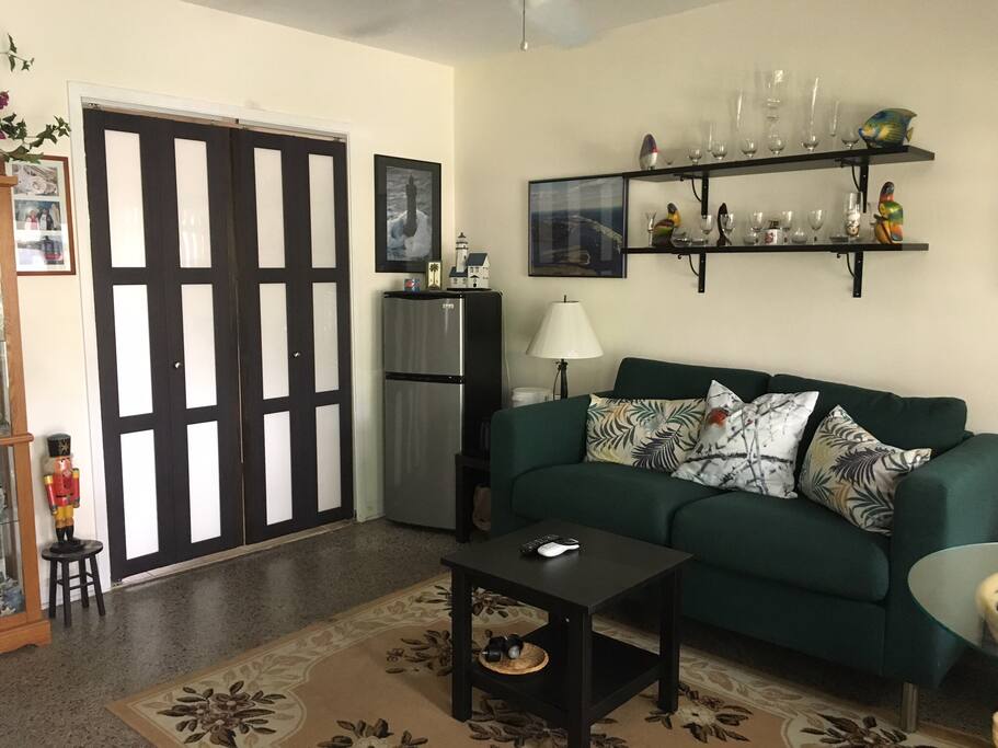 Living room just for guests