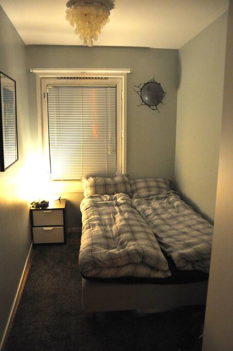 The room by night