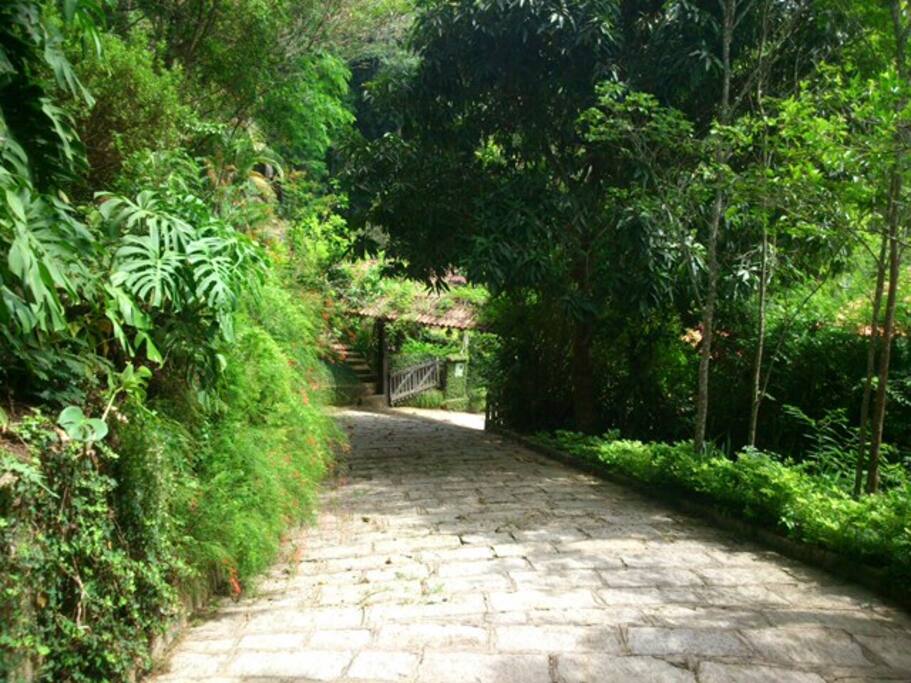 Caminho de chegada / driveway