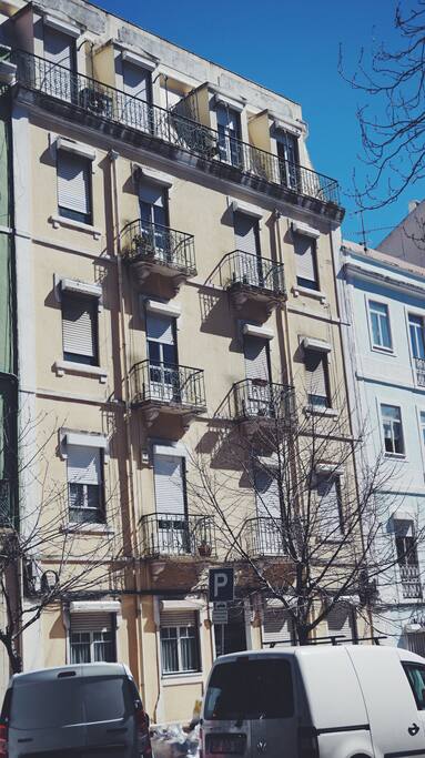 The Building