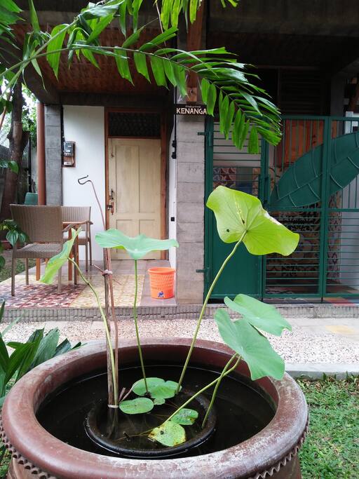 The entrance to your kenanga twin studio room