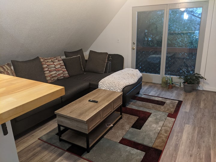 Cozy Apartment 1 Mile From Downtown Grandrapids! - Grand Rapids, MI