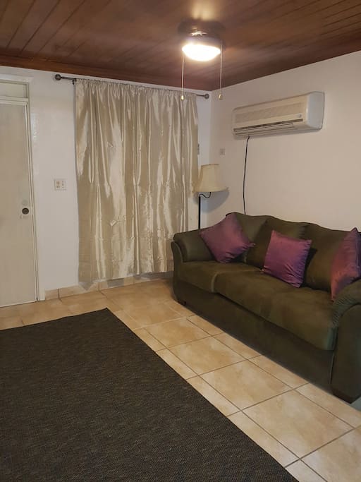 Living room with pull-out sofa bed