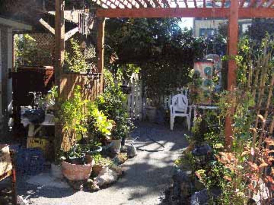 Garden in the parking lot - rocks are from the Gold Country.