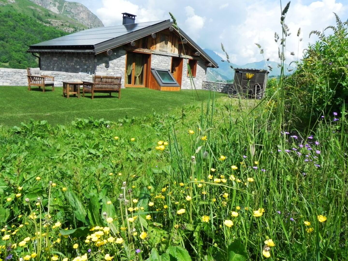 L'epèrviere Nid Douillet En Montagne