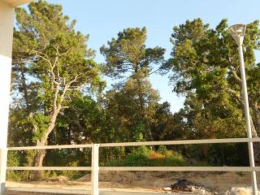 vue terrasse