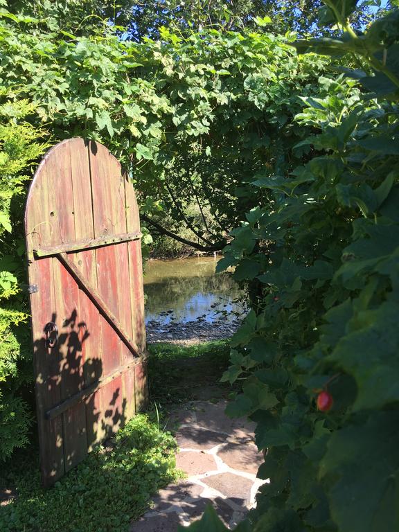 A weathered wooden gate stands ajar, surrounded by lush green foliage, leading into a serene path. A tranquil water body is visible through the gate, framed by rich greenery, creating an inviting natural scene.