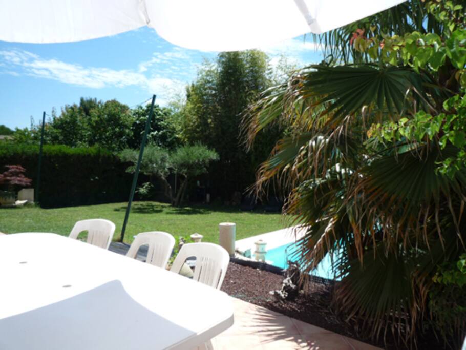 coin repas sous le palmier