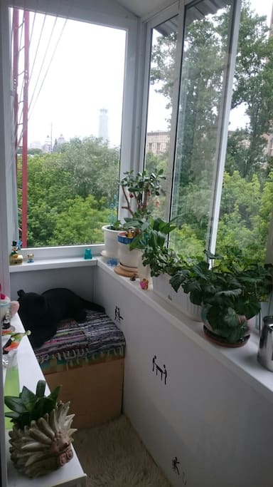 Окна выходят в тихий двор с красивым видом на Дом Музыки