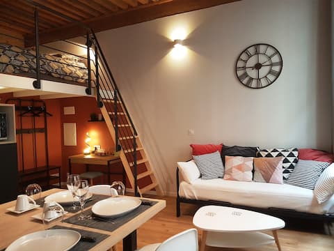 Top performing Airbnb: Cozy apartment Lyon-Cœur des pentes Croix-Rousse in Lyon 1er Arrondissement