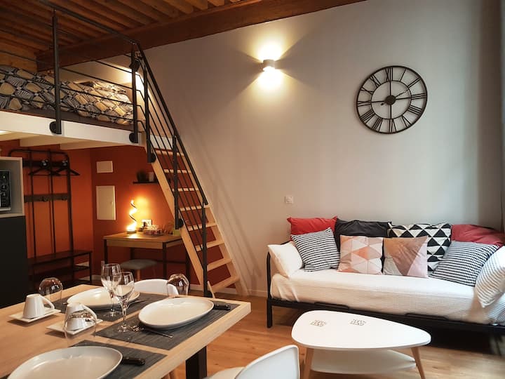 500+ Locations de Vacances à Lyon Appartements et Plus Airbnb