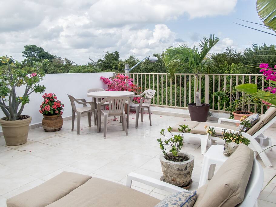 rooftop terrace