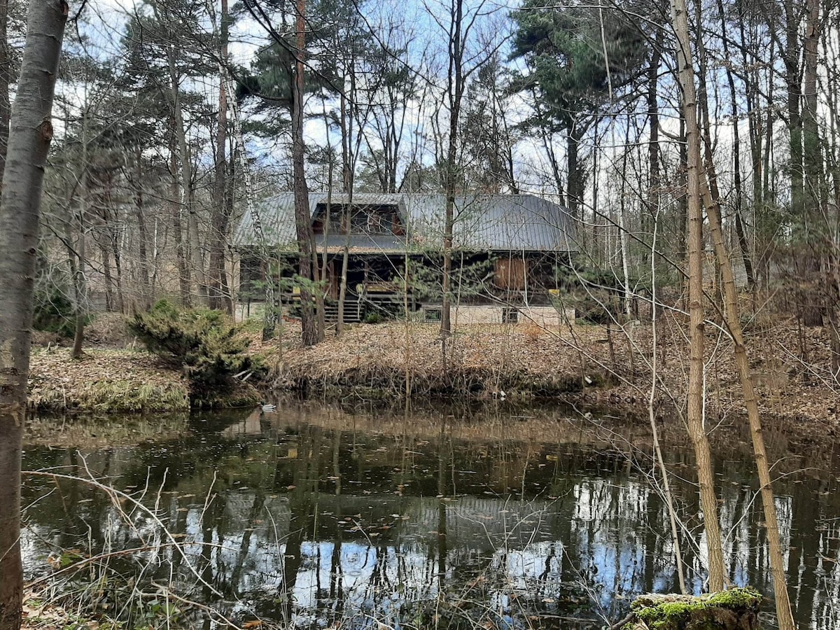 A wooden house is viewed from across a still pond, surrounded by trees and underbrush. The structure features a sloped roof and porch, with reflections visible on the water's surface. A natural, tranquil setting offers a serene ambiance.