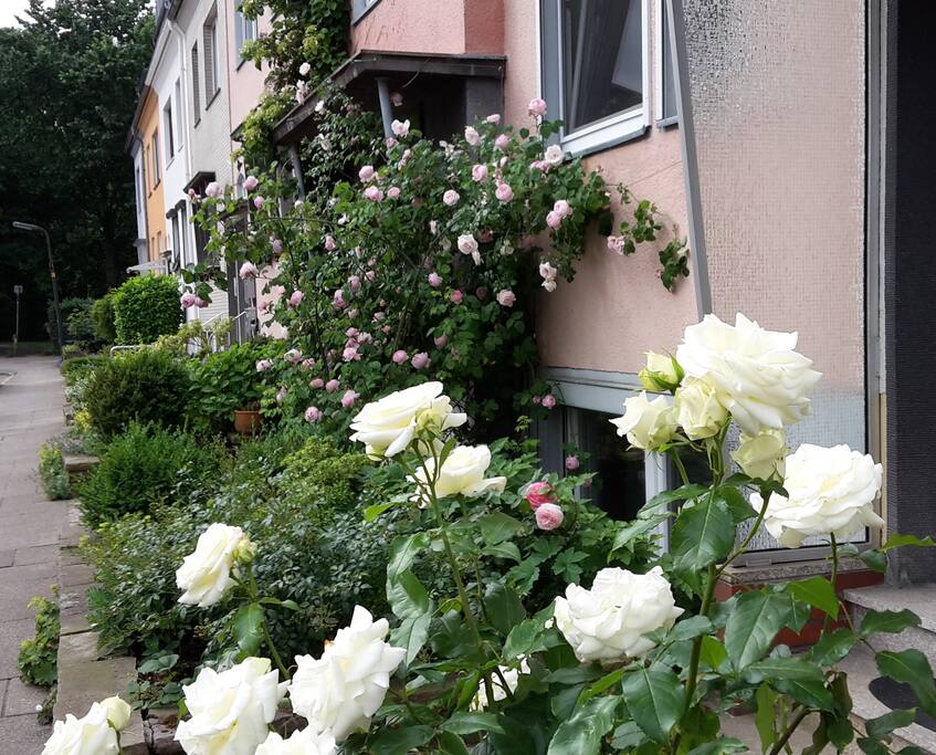 Eingang im Sommer