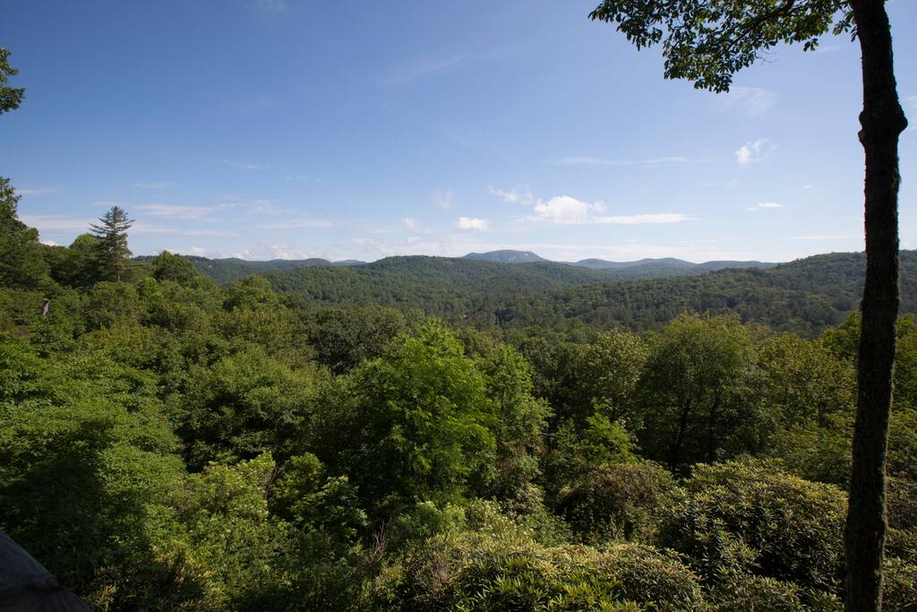 View from Deck