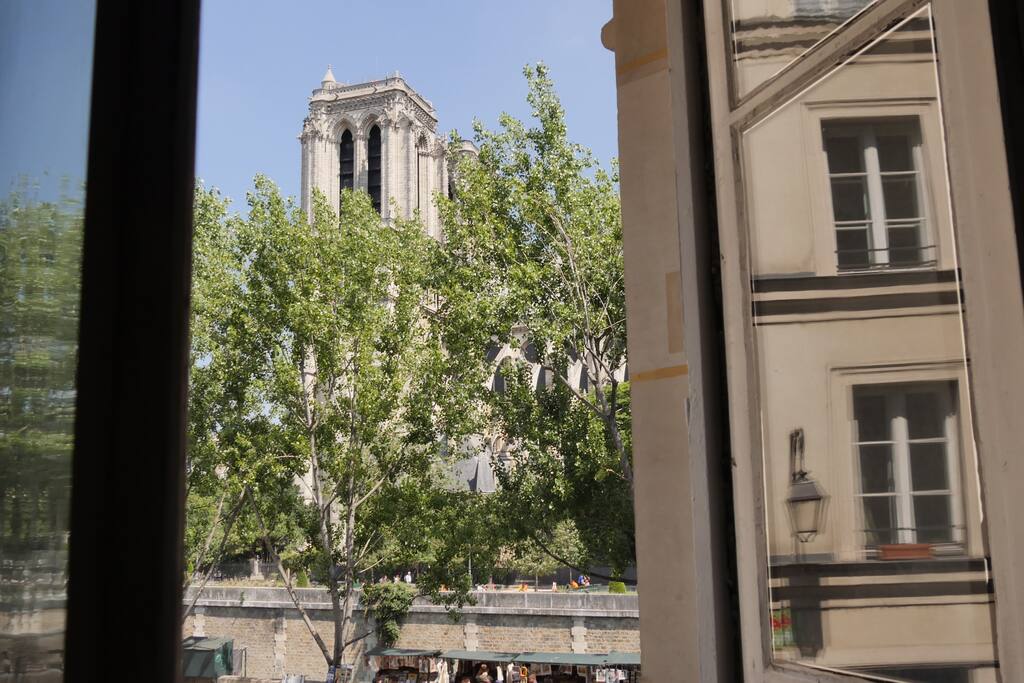 Living room view in Summer