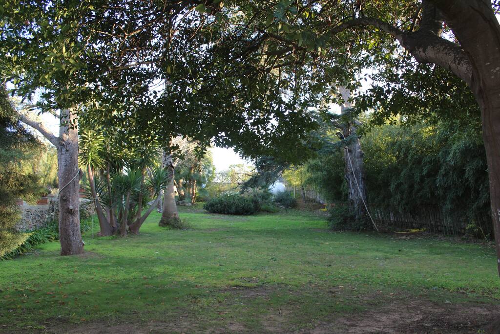 Giardino antistante la Villa