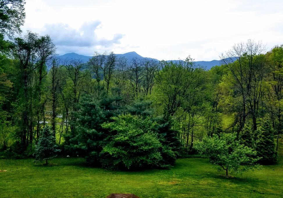 View from Living, Master Bedroom, Kitchen and Dining Room
