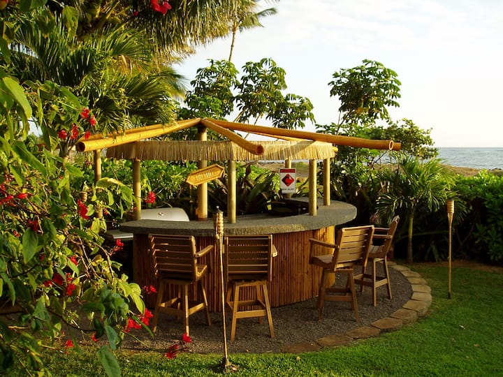 Hale LaAir Conditioned Luxury Ocean Home TVNC4251 Houses for Rent in