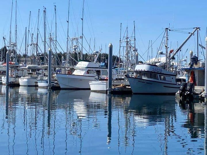 Top 6 Houseboat Rentals In Alaska, USA Updated 2023 Trip101