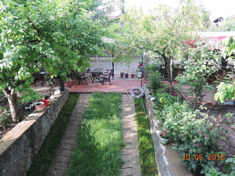 Garden/May20, 2018