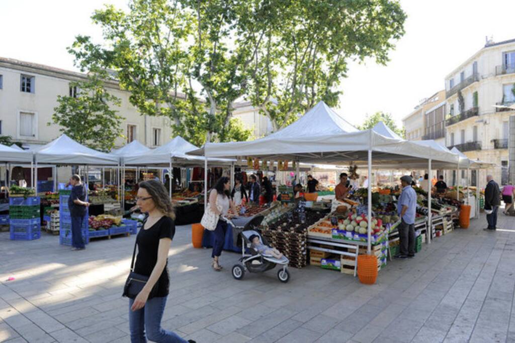 Marché de Plan Cabane