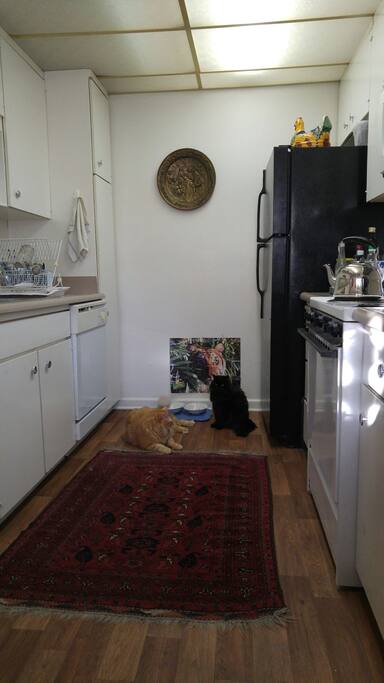 Full kitchen