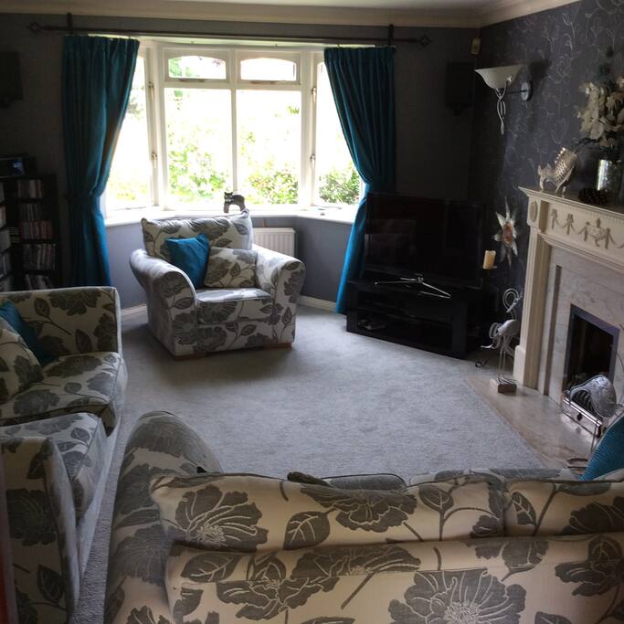 Lounge with TV' DVD player and fireplace