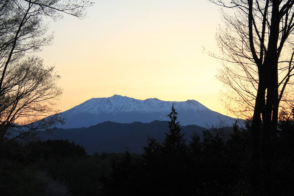 view